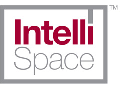 Intilli Space Logo